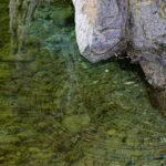 Acqua trasparente del fiume che scorre vicino a Casa Vacanza la Rosa, con sassi e riflessi verdi